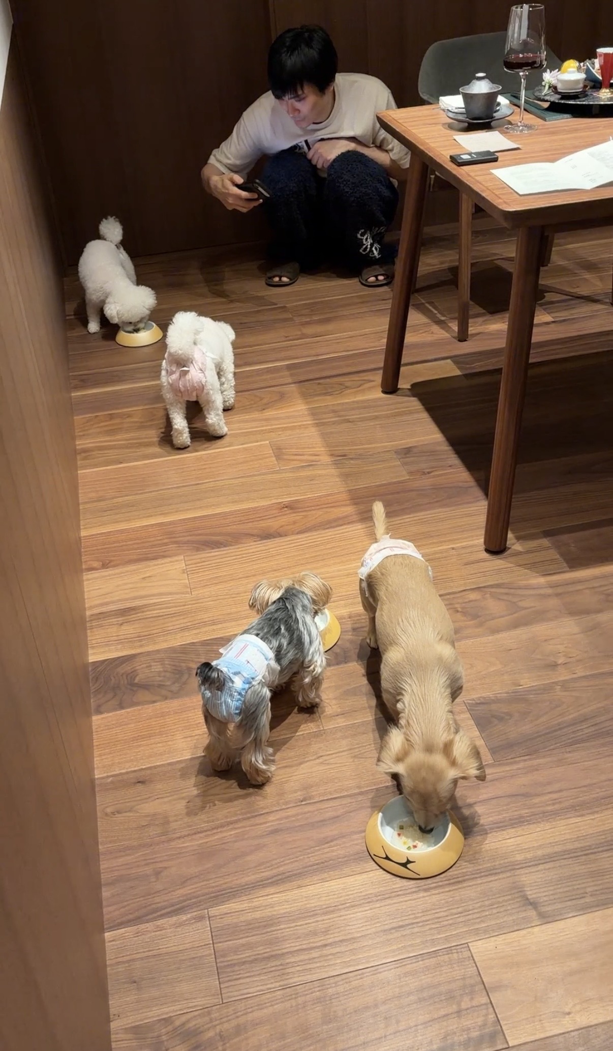 僕の生徒さんがアドセンスで月３０万円稼ぎました。いまだにアドセンスで稼げるという件。